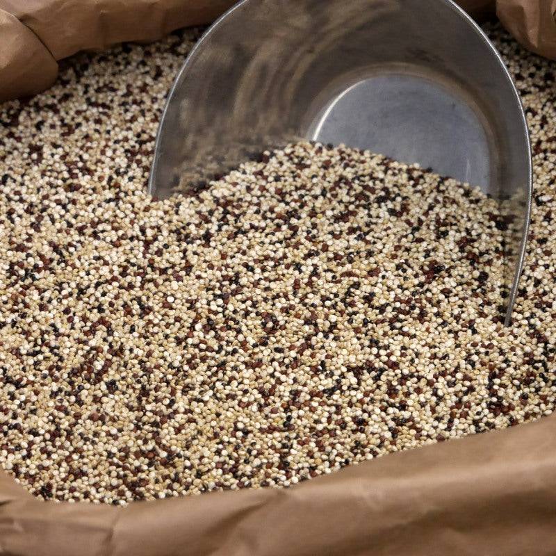 Bio-Quinoa bunt Tricolore – Erhältlich bei Kornkiste, der nachhaltigen Unverpackt-Online-Foodcoop. Bio, plastikfrei und ökologisch verpackt im praktischen Mehrweg-Großgebinde. Lose und ressourcenschonend für gemeinschaftliches, bewusstes Einkaufen. Jetzt online bestellen!