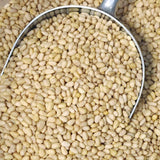 Bio-Pinienkerne – Erhältlich bei Kornkiste, der nachhaltigen Unverpackt-Online-Foodcoop. Bio, plastikfrei und ökologisch verpackt im praktischen Mehrweg-Großgebinde. Lose und ressourcenschonend für gemeinschaftliches, bewusstes Einkaufen. Jetzt online bestellen!