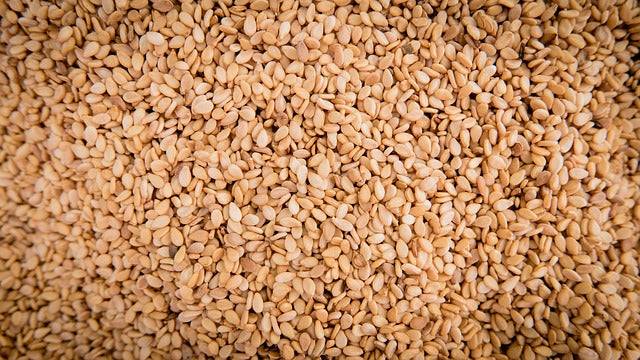 Bio-Sesam ungeschält – Erhältlich bei Kornkiste, der nachhaltigen Unverpackt-Online-Foodcoop. Bio, plastikfrei und ökologisch verpackt im praktischen Mehrweg-Großgebinde. Lose und ressourcenschonend für gemeinschaftliches, bewusstes Einkaufen. Jetzt online bestellen!