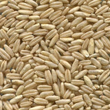 Bio-Hafer ganz, Nackthafer, roh – Erhältlich bei Kornkiste, der nachhaltigen Unverpackt-Online-Foodcoop. Bio, plastikfrei und ökologisch verpackt im praktischen Mehrweg-Großgebinde. Lose und ressourcenschonend für gemeinschaftliches, bewusstes Einkaufen. Jetzt online bestellen!