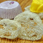 Luffa Scheibe – Erhältlich bei Kornkiste, der nachhaltigen Unverpackt-Online-Foodcoop. Bio, plastikfrei und ökologisch verpackt im praktischen Mehrweg-Großgebinde. Lose und ressourcenschonend für gemeinschaftliches, bewusstes Einkaufen. Jetzt online bestellen!