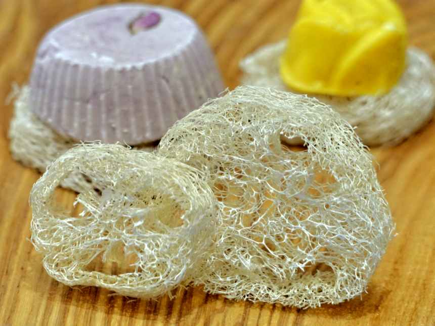 Luffa Scheibe – Erhältlich bei Kornkiste, der nachhaltigen Unverpackt-Online-Foodcoop. Bio, plastikfrei und ökologisch verpackt im praktischen Mehrweg-Großgebinde. Lose und ressourcenschonend für gemeinschaftliches, bewusstes Einkaufen. Jetzt online bestellen!