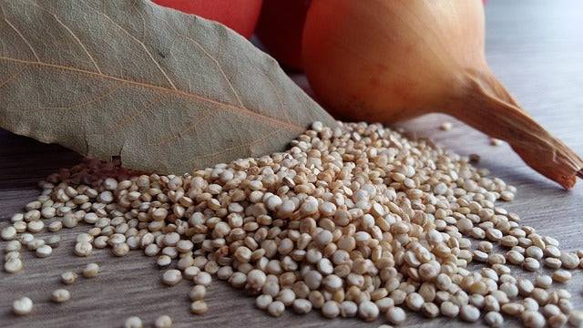Bio-Quinoa weiß – Erhältlich bei Kornkiste, der nachhaltigen Unverpackt-Online-Foodcoop. Bio, plastikfrei und ökologisch verpackt im praktischen Mehrweg-Großgebinde. Lose und ressourcenschonend für gemeinschaftliches, bewusstes Einkaufen. Jetzt online bestellen!