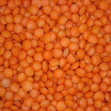 Bio-Linsen rot (geschält) – Erhältlich bei Kornkiste, der nachhaltigen Unverpackt-Online-Foodcoop. Bio, plastikfrei und ökologisch verpackt im praktischen Mehrweg-Großgebinde. Lose und ressourcenschonend für gemeinschaftliches, bewusstes Einkaufen. Jetzt online bestellen!