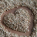 Bio-Buchweizen aus Taiwan – Erhältlich bei Kornkiste, der nachhaltigen Unverpackt-Online-Foodcoop. Bio, plastikfrei und ökologisch verpackt im praktischen Mehrweg-Großgebinde. Lose und ressourcenschonend für gemeinschaftliches, bewusstes Einkaufen. Jetzt online bestellen!
