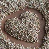 Bio-Buchweizen aus Taiwan – Erhältlich bei Kornkiste, der nachhaltigen Unverpackt-Online-Foodcoop. Bio, plastikfrei und ökologisch verpackt im praktischen Mehrweg-Großgebinde. Lose und ressourcenschonend für gemeinschaftliches, bewusstes Einkaufen. Jetzt online bestellen!
