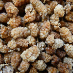 Bio-Maulbeeren hell – Erhältlich bei Kornkiste, der nachhaltigen Unverpackt-Online-Foodcoop. Bio, plastikfrei und ökologisch verpackt im praktischen Mehrweg-Großgebinde. Lose und ressourcenschonend für gemeinschaftliches, bewusstes Einkaufen. Jetzt online bestellen!